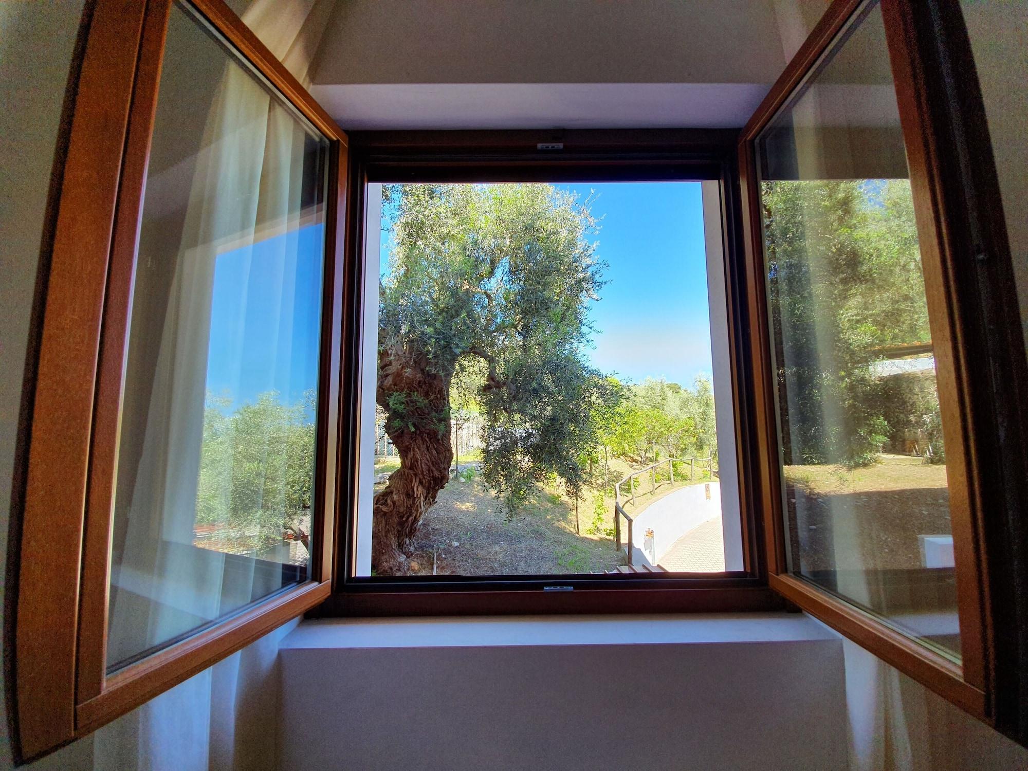 Hotel Delle More Вьесте Экстерьер фото
